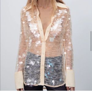 Brand new zara semi sheer sequin top